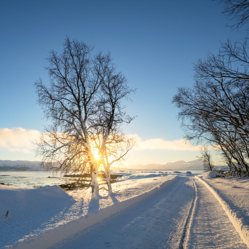 Tyhjä tie ja kaunis talvimaisema Suomessa. 
